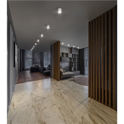 LED SPOT SURFACE Round GU10 White