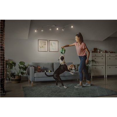 LED SPOT WHITE 6 X 3.4W 927 DIM