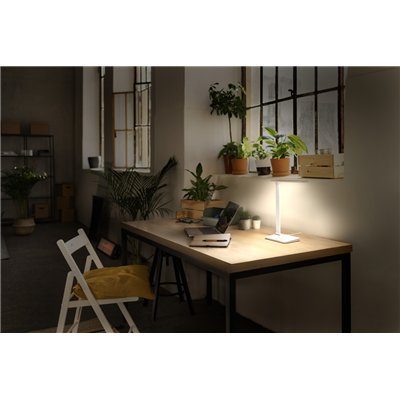 Office Line Desk Banker 7W CCT Dimmable White