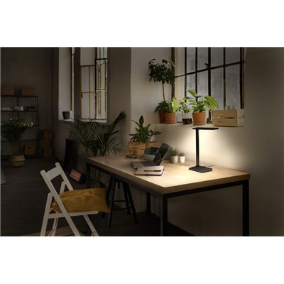 Office Line Desk Banker 7W CCT Dimmable Black