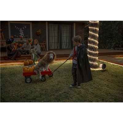 OUTDOOR FLEX IP65 RGB 20M RGB IP65 Remote Control