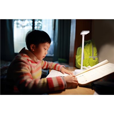 PANAN FOLD DIM 4000K