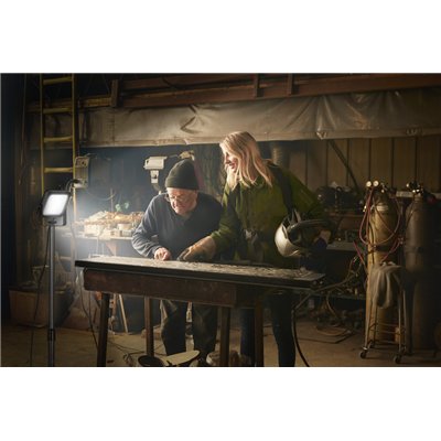 WORKLIGHT VALUE TRIPOD 1x30W 865