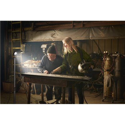 WORKLIGHT VALUE TRIPOD 1x10W 865