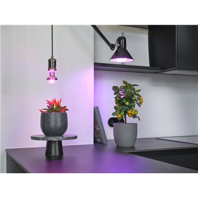 LED STAR GROW T LAMP 20W Clear E27