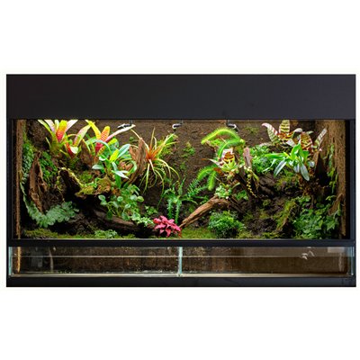 LED TUBE T8 EM BIO-LUMILUX 900 mm 10W 965