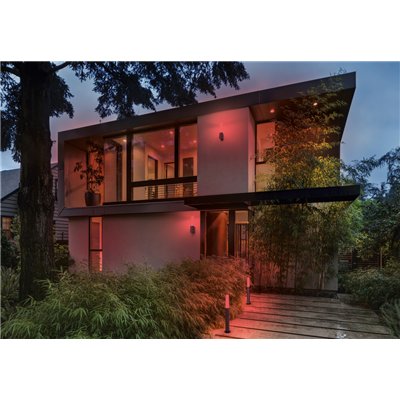 SMART+ Flare Multicolor 60cm RGB + W