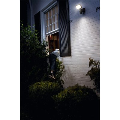 SMART+ FLOOD CAMERA CONTROL Control