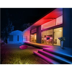 Smart+ Neon Flex Multicolor 5M RGB + TW