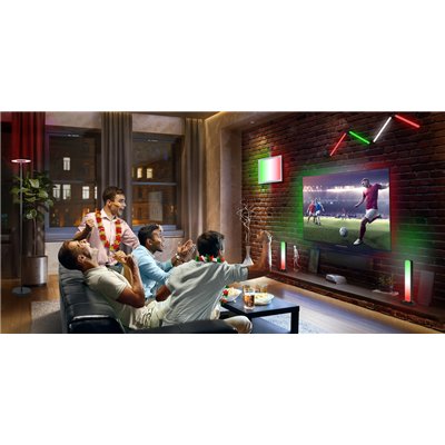 SMART+ Planon Plus RGBW 600x300mm RGB + W