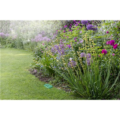 SMART+ SOIL MOISTURE SENSOR Green