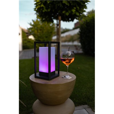 SMART+ Table Frame Maxi Multicolor USB RGB + W
