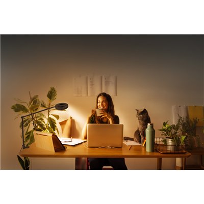 Sun@Home Panan Desk Disc Clip Disc Clip Black