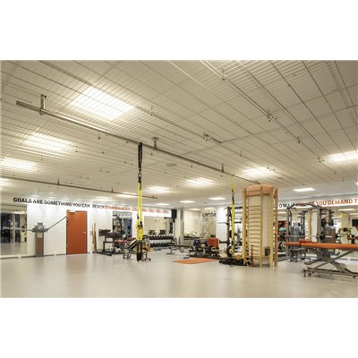 LED STRIP PERFORMANCE-1000 RGBW PROTECTED -1000/RGBW/840/5/IP66