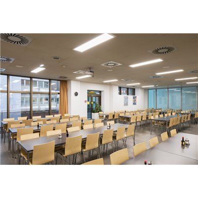 DOWNLIGHT ALU 200 25 W 4000 K IP44/IP20 WT