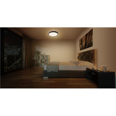 CEILING MOIA 480mm 36W Black
