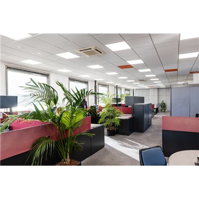 PANEL PERFORMANCE 600 ZIGBEE 36 W 4000 K ZBVR