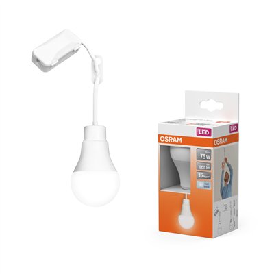 RENOVATION LAMPS WITH TERMINAL BLOCK Terminal Block 10W 840 Single Pack