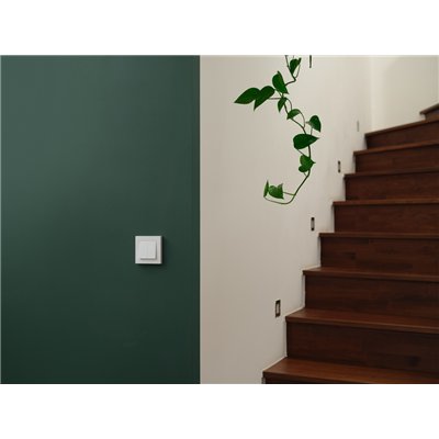SMART+ MATTER Wall Switch 2 Channel
