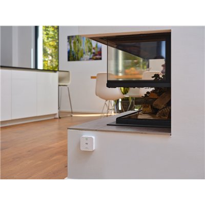 SMART+ WIFI CO Detector White