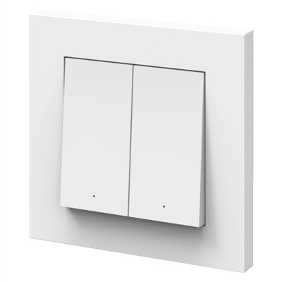 SMART+ WIFI Remote Wall Switch 2 Button