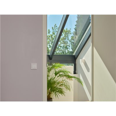 SMART+ WIFI Remote Wall Switch 2 Button