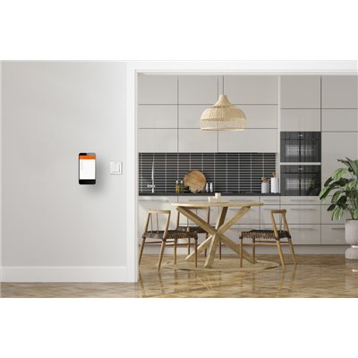 SMART+ WIFI Remote Wall Switch 2 Button