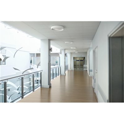 SURFACE CIRCULAR FRAME 500 FRAME WT