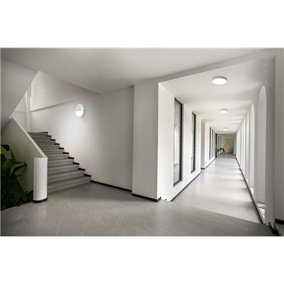 BULKHEAD ROUND RD 250 P 9.5W ML 83040 WT