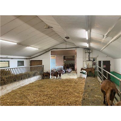 DAMP PROOF SPECIAL 1500 50 W 4000 K WT IP67