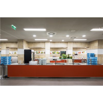 DOWNLIGHT ALU DALI 200 35 W 4000 K IP44/IP20 WT