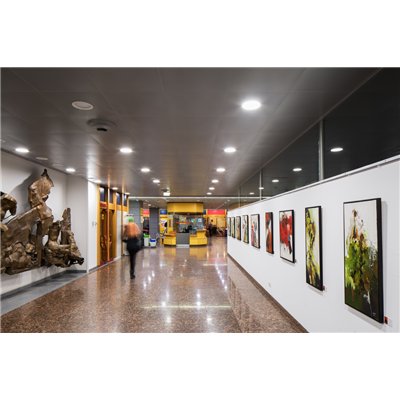 DOWNLIGHT ALU DALI 150 14 W 3000 K IP44/IP20 WT