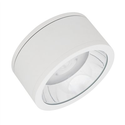 DOWNLIGHT SURFACE IP65 DN 250 P 45W 830 36D WT