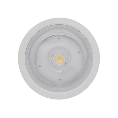 DOWNLIGHT SURFACE IP65 DN 250 P 45W 840 60D WT