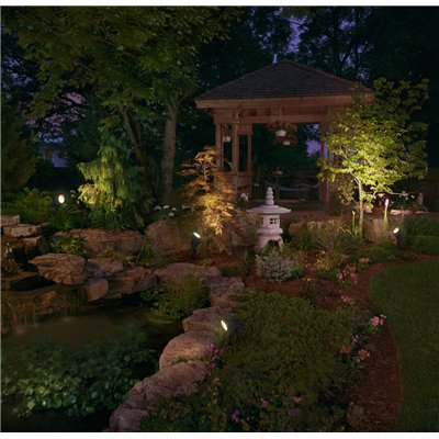 Endura Hybrid Ground Spot Spike 1W Black