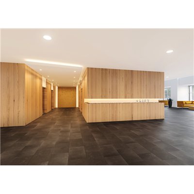 LINEAR ULTRA OUTPUT EMERGENCY GEN 1 1200 25 W 4000 K