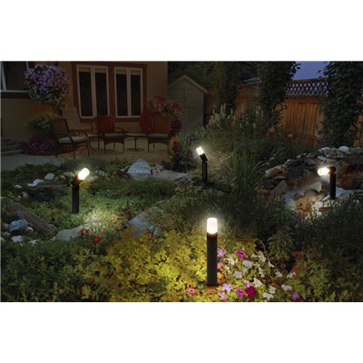 Endura Hybrid Ground Rota Spike 1W Black