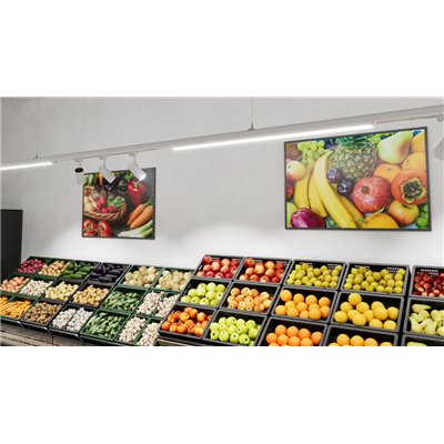 TruSys® FLEX WIDE 50W 865 W CL WT DALI