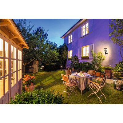 ENDURA STYLE SOLAR BOUQUET Wall Sensor 6W Black