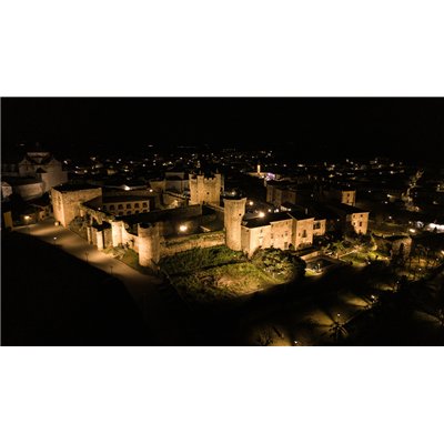 FLOODLIGHT FLEX DALI ASYMMETRIC 55 X 120 130W 830 A55X120 WAL