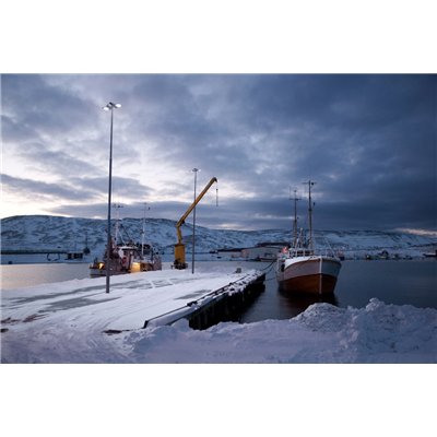 FLOODLIGHT FLEX DALI ASYMMETRIC 55 X 120 130W 830 A55X120 WAL