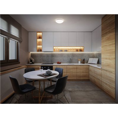 ESSENTIALS CEILING RETROFIT LUMINAIRE 250mm E27